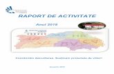 RAPORT DE ACTIVITATE · 2020-02-21 · Pagina 3 din 62 Raport activitate ADR Centru – Anul 2018. INTRODUCERE . Agenția pentru Dezvoltare Regională Centru este organism neguvernamental,