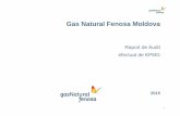 Gas Natural Fenosa Moldova - premierenergy.md · Concluzii audit tarifar RedUnion FenosaS.A. (Distribuție) şi GNF Furnizare Energie SRL (Furnizare la tarife reglementate) Pentru