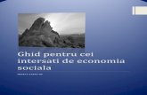phoenix-proiect.ro · 2.5 Tipuri de economie sociala 3. Intreprinderile sociale ... acordarea de sprijin pentru infiintarea a min. 21 de intreprinderi sociale in regiunile Vest, Nord-Vest