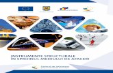 INSTRUMENTE STRUCTURALE ÎN SPRIJINUL MEDIULUI DE … · 2012-10-22 · prin Agenţiile pentru Dezvoltare Regională (ADR), camere de comerţ şi industrie sau organizaţii de consultanţă