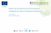 strategică de mediu în Republica Moldova · strategică de mediu în Republica Moldova 1 noiembrie 2019 ... Aspecte practice, provocări, probleme tipice Michal Musil. Diferențele