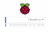 1.Raspberry Pivcosmin/pagini/resurse... · 2017-02-06 · Single-board computer De dimensiunea unui card de credit (nu şi ca înălţime totuşi) Dezvoltat de fundaţia Raspberry