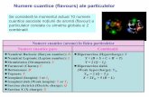 Numere cuantice (flavours) ale particulelor · 2018-06-04 · Numarul de farmec unei particule este C=-1 iar a unei antiparticule C=+1. Consecinţă: prezenţa unui quarc charm conferă