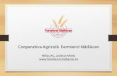 Cooperativa Agricolă Fermierul Nădlăcan · 2018-10-31 · Prin intermediul acelorașifonduri s-a făcut achiziţiaunei combine de recoltat sfeclă-de-zahăr,a unui încărcător