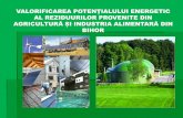 VALORIFICAREA POTENȚIALULUI ENERGETIC AL REZIDUURILOR … biogas... · 2016-07-12 · Pile de combustie nedeterminat reducere sustinuta Producerea combinata a electricitatii si caldurii