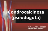 Condrocalcinoza (pseudoguta) - Baicus · •Prevalenta dependenta de virsta (B/F=1): –15% intre 65-74 ani –33% intre 75-84 ani ... •Pacient cu artorza care face atacuri de artrita