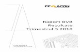 Raport BVB Rezultate Trimestrul 3 2018 · Performanta Q3 2018 ... bugetara. Suntem la niveluri record cu principali indicator de business, peste anul anterior si peste prognoza bugetara: