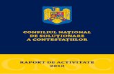 CONSILIUL NAȚIONAL DE SOLUȚIONARE A ...consiliul național de soluționare a contestațiilor – raport de activitate 2010 6 data de 31 decembrie 2010 un numãr de 87 de persoane