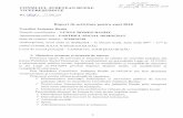 36BW-5e-20190329120410cjbuzau.ro/wp-content/uploads/2019/03/Raport-Vicepresedinte-Lungu-2018.pdf · Consiliului Jude!ean Buzäu respectiv, a Programului de lucräri de reabilitare,