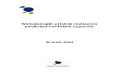 Metodologie privind realizarea evidenţei contabile separate · 2014-12-22 · 9 Lista serviciilor furnizate de Romtelecom pe piata de telecomunicatii electronice .. 59. 4 ... structurate