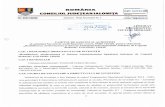 ROMÂNIA 33cjialomita.ro/.../uploads/2020/01/caiet-de-sarcini-audit.pdf · 2020-01-31 · De asemenea, pe durata desfășurării Contractului, Prestatorul serviciilor de audit financiarextern,SMIS