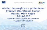 Program Operațional Comun Bazinul Mării Negreadrnord.md/public/files/pdfuri/eMS-_MD_-2017-final.pdf · 2017-04-04 · Produs 1-n Plan de Activități 1-n lucru (cu x livrabile)