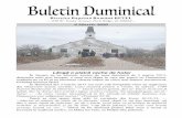 Biserica Baptistă Română BETELbetelchurch.org/wp-content/uploads/2020/03/03.08.2020-Buletin-BET… · și ne rugăm ca și acest copil să fie călăuzit pe calea înduărilor