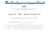 TEZĂ DE DOCTORATmtti.pub.ro/wp-content/uploads/2019/01/Rez.teza_I.Halcu_.pdf · 2019-01-04 · Proiect EXCELDOC - POSDRU/159/1.5/S/132397 Excelență în cercetare prin burse doctorale