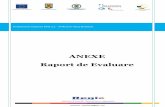 ANEXE Raport de Evaluare - Prima pagina Raport Evaluarea de... · 2014-12-09 · Raport de evaluare- Anexe// pag. 5 Duma (2012), „Dezvoltări și constrângeri ale întreprinderilor