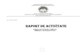 RAPORT DE ACTIVITATE...Prezentul raport de activitate a fost întocmit pe baza rapoartelor responsabililor de comisii metodice şi pe probleme, precum şi în baza datelor statistice
