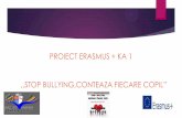 PROIECT ERASMUS + KA 1 ,,STOP BULLYING,CONTEAZA … · 2019-12-11 · proiect erasmus + ka 1 ,,stop bullying,conteaza fiecare copil ... 2. problem solving and decision making - limassol,
