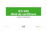 IC3 GS5 Ghid de certificare€¦ · •Un hiperlink este o referinţă la date localizate într-o altă locaţie decât prezenta •Hiperlinkurile sunt elemente HTML definite prin