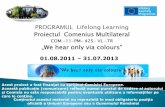 PROGRAMUL Lifelong Learning Proiectul Comenius Multilateralcnmirceavl.ro/fisiere/comeniuswe.pdf · PROGRAMUL Lifelong Learning Proiectul Comenius Multilateral COM -11-PM- 425- VL