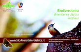 brosura A5 - final...Municipiul Bistriţa Asociaţia Harta Verde România Biodiversitatea dimensiunea uitată a mediului explorează, descoperă, bucură-te de biodiversitatea municipiului