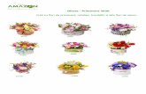 Foaie pentru oferta de preturi - florariaamz.ro · Oferta - Primavara 2020 Cutii cu flori de primavara, orhidee, trandafiri si alte flori de sezon. 95 lei 165lei 135 lei 235lei 205lei