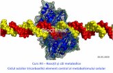 Biochimiemarius.mihasan/teaching/pdfs/...Per total, parcurgerea completă a tuturor reacțiilor CAT este echivalentă cu oxidarea unui rest acetil și eliberarea a 1 GTP +3 NADH +1