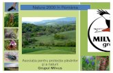 Natura 2000 în România - CEEweb for Biodiversity · Scopul: Stabilirea unei reţele europene coerente de zone protejate care să cuprindă un eşantion reprezentativ de specii sălbatice