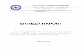 SINTEZĂ RAPORTcurteadeconturi.ro/Publicatii/Sinteza Raport FINAL_13.02.2017.pdf · principiile de reflectare a fiecărei categorii de venituri și cheltuieli, transparentizarea operațiunilor