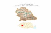 MONOGRAFIA JUDEŢULUI HUNEDOARAbnr.ro/files/d/Pubs_ro/Monografii/Monografie_Hunedoara.pdf6 Municipiul Vulcan, cu o populație de 24 160 locuitori, este un oraș de munte, situat pe