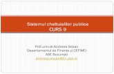 Sistemul cheltuielilor publice CURS 9 - ASE 8_FP.pdf · -dobânzile aferente datoriei publice etc. Exemplu (Bugetul de stat al României): I.SERVICII PUBLICE GENERALE: Autoritati