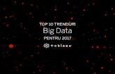 TOP 10 TRENDURI Big Data€¦ · Top 10 trenduri Big Data pentru 2017 2016 a fost un an de referință pentru big data, datorită faptului că din ce în ce mai multe organizații