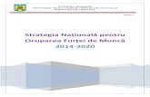 Strategia Națională de Ocupare a Forței de Muncămmuncii.ro/j33/images/Documente/Munca/2014-DOES/2014-01... · 2014-01-31 · 5 I. Contextul dezvoltării Strategiei Naționale