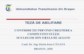 TEZĂ DE ABILITARE - unitbv.roold.unitbv.ro/Portals/31/Abilitare/Teze/Prezentare... · Publicaţii-Proiecte-Conferinţe Teză de doctorat – Contribuţii la obţinerea sculelor aşchietoare