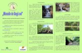 Obiective turistice naturale din bazinul Trotuşului · pe pagina de Facebook „Minunile de Lângă Noi”. Moinești, pe strada Fotografii ale acestor obiective sunt postate pe