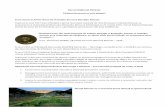 Parcul Naţional Retezat · 2014-05-29 · Parcul Naţional Retezat Tărâmul fermecat cu ochi albaștri Scurt istoric al Ariilor Naturale Protejate din zona Munţilor Retezat După