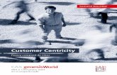 Customer Centricity · customer details. Z Semantic meaning of links Define relationships between data records based on defined values, such as links between customers, competitors