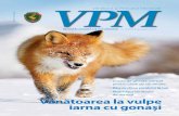 Vânătoarea la vulpe iarna cu gonaşi - AGVPSagvps.ro/docs/VPM IANUARIE 2015.pdf · 2016-04-26 · • Crusta de gheaţă: pericol pentru câinii de vânătoare • Răspândirea