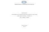 RAPORT 2009 final - mfinante.gov.ro · Raport privind activitatea de audit intern din sectorul public pe anul 2009 2/74 CUPRINS Introducere 3 Cap.1. Evaluarea modului de organizare