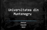 Universitatea din Muntenegru · labirintul bisericilor medievale, catedrale, palate venețieneșistâlpi. Kotor este format din contraste – piețelevechi cu cafenele moderne, sunetele