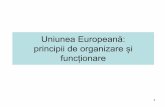 Uniunea Europeană: principii de organizare și funcționaregimnaziu.lniarad.ro/pics/pdfprof/orar/21-05-2020... · Uniunea este fondata pe: respectul pentru demnitatea umana, libertate,
