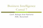 Business Intelligence Cursul 7 - ASE 7 master AACPI 2016.pdf · se bazeaza prea mult pe ajutorul departamentelor IT pentru raportare; ... utilizatori pentru a produce statistici benchmark,