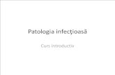Patologia infecţioasă:trecut, prezent şi viitorbolitropicale.usmf.md/sites/default/files/inline-files/Patologia infectioasa...• Dinamica dezvoltării infecțiilor în organismul