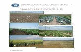 RAPORT DE ACTIVITATE 2019 - istis.ro · de plante, prezentul raport conține un bilanţ al activităţilor Institutului de Stat pentru Testarea şi ... şi politica de securitate
