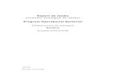 Raport de mediu (evaluare strategică de mediu) · 4.1 Analiza de mediu ... Manual GRDP Manualul privind SEA pentru politica de coeziune 2007-2013 DCI Domeniu cheie de intervenţie