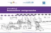 Proﬁlul femeilor migrante - gov.md · casnice şi conform metodologiei ajustate la ul mele recomandări ale BIM, la normele europene şi la Codul Muncii din RM. Cercetarea are ca