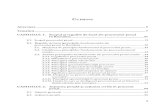 Sinteza proc pen1 - lexmag.ro - Drept Proc… · Scopul şi regulile de bază ale procesului penal în România..... 31 § 1. Scopul procesului penal ... 2.3. analiza principiilor