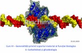 Curs VI –Generalități privind suportul material al ...marius.mihasan/teaching/pdfs/biochemistry/Cur… · Proteinele capabile să interacționeze în mod specific cu glucidele