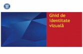 Ghid de identitate - madr.romadr.ro/docs/minister/Ghid-identitate-vizuala.pdf · Modul în care Guvernul României se prezintă prin toate mijloacele de comunicare, de la broșuri