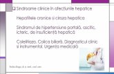 Sindroame clinice în afecţiunile hepatice Sindromul de … · 2020-05-15 · Ficat-date anatomice Prin volumul șigreutatea sa ficatul reprezintăcea mai mare glandăsecretorie
