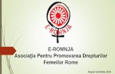 E-ROMNJA Asociația Pentru Promovarea Drepturilor Femeilor Romee-romnja.ro/wp-content/uploads/2019/04/Raport-de... · 2019-04-12 · Schimb de experiențe între grupurile de inițiativă